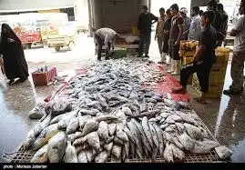 بازارچه ماهی یاسوج تعطیل شد